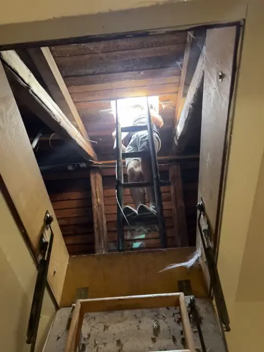 Blick durch eine Bodenluke die Leiter hinauf auf einen Dachboden