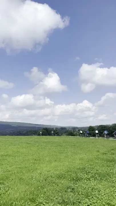 Radgruppe fährt über einen Feldweg am Wiesenhorizont